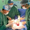 Các bác sỹ thực hiện ca phẫu thuật cho bệnh nhi. (Ảnh: PV/Vietnam+)