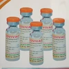 Vắcxin COVIVAC do Viện Vắc xin và Sinh phẩm Y tế (IVAC) sản xuất. (Ảnh: T.G/Vietnam+)