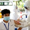 Tiêm vaccine cho khoảng 300 công nhân tại Khu công nghiệp Đình Trám. (Ảnh: PV/Vietnam+)