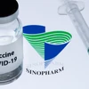 Vaccine ngừa COVID-19 của Tập đoàn dược phẩm Sinopharm, Trung Quốc. (Ảnh: AFP/TTXVN)