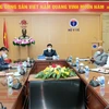 Các điểm cầu trực tuyến trong cuộc họp giữa Bộ Y tế Việt Nam và Cu ba. (Ảnh: PV/Vietnam+)
