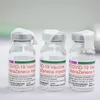 Vaccine AstraZeneca do Nhật Bản viện trợ không hoàn lại cho Việt Nam. (Ảnh: Minh Sơn/Vietnam+)