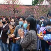 Người dân đeo khẩu trang khi đến chỗ đông người để phòng ngừa dịch bệnh COVID-19. (Ảnh: Công Luật/TTXVN)