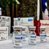 Vaccine Abdala ngừa COVID-19 của Cuba. (Ảnh: AFP/TTXVN)