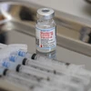 Viện Vệ sinh dịch tễ trung ương yêu cầu các đơn vị tiếp nhận vaccine và tổ chức tiêm ngay số vaccine phòng COVID-19 được phân bổ. (Ảnh: TTXVN/Vietnam+)