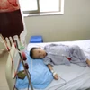 Trẻ mắc bệnh thalassemia điều trị tại Viện Huyết học-Truyền máu Trung ương. (Ảnh: PV/Vietnam+)