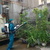 Phun hóa chất diệt muỗi tại phường Lương Khánh Thiện, thành phố Phủ Lý. (Ảnh: Nguyễn Chinh/TTXVN)