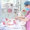 Nhân viên y tế chăm sóc cho trẻ sơ sinh. (Ảnh: TTXVN phát)
