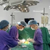Các bác sỹ thực hiện ca ghép tạng cho bệnh nhân. (Ảnh: PV/Vietnam+)