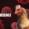 Việt Nam được ghi nhận kiểm soát tốt dịch cúm A/H5N1 trong 10 năm qua