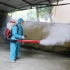 Phun hóa chất diệt muỗi. (Ảnh: Nguyễn Chinh/TTXVN)