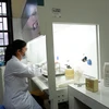 Nhân viên y tế tuyến cơ sở thực hiện các xét nghiệm nhanh tại chỗ, xét nghiệm Gene Xpert để phát hiện lao và lao kháng thuốc. (Ảnh: PV/Vietnam+)