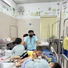 Bệnh nhi mắc sốt xuất huyết điều trị tại Bệnh viện Đa khoa Xanh Pôn, Hà Nội. (Ảnh: T.G/Vietnam+)