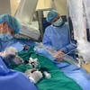 Các bác sỹ của Viện Tim Mạch Việt Nam thực hiện một can thiệp tim mạch cho một bệnh nhân. (Ảnh: PV/Vietnam+)