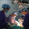 Các bác sỹ Bệnh viện Hữu nghị Việt Đức thực hiện ca ghép tạng cho bệnh nhân. (Ảnh: PV/Vietnam+)