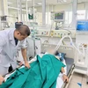 Bác sĩ Bệnh viện Bệnh Nhiệt đới Trung ương theo dõi sức khoẻ cho một trường hợp mắc bệnh dại trong tình trạng nặng. (Ảnh: PV/Vietnam+)