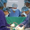 Các bác sĩ Bệnh viện Hữu nghị Việt Đức thực hiện ca ghép tim cho một bệnh nhân. (Ảnh: PV/Vietnam+)