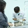 Người dân đưa chó, mèo tiêm vaccine phòng dại tại Chi cục Chăn nuôi và Thú y Thành phố Hồ Chí Minh. (Ảnh: Đinh Hằng/TTXVN)