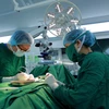 Các bác sĩ thực hiện phương pháp phẫu thuật vi phẫu tinh hoàn tìm tinh trùng - Micro TESE cho một bệnh nhân. (Ảnh: PV/Vietnam+)