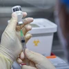 Vaccine phòng COVID-19 của Pfizer và BioNTech. (Ảnh: AFP/TTXVN)