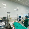 Bệnh nhân mắc cúm B trong tình trạng nặng đang điều trị tại Bệnh viện bệnh Nhiệt đới Trung ương.(Ảnh: PV/Vietnam+)
