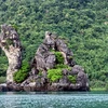 Vườn quốc gia Bái Tử Long - “Kho báu” giữa trùng khơi