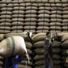 Trung Quốc hủy hợp đồng mua 1,2 triệu tấn gạo Thái Lan 