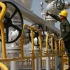 Tin Crimea muốn sáp nhập vào Nga đẩy giá dầu đi lên