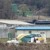 Bệnh lở mồm long móng lan rộng đến biên giới Triều-Hàn