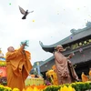 Ban Chỉ đạo Tây Nguyên mừng lễ Phật đản tại tỉnh Đắk Lắk