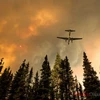 Cháy rừng tại khu bảo tồn hoang dã quốc gia của Mỹ
