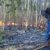 Hai vụ cháy rừng nghiêm trọng liên tiếp xảy ra tại Nghệ An