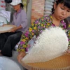 Campuchia-Thái Lan hợp tác xây dựng nhà máy xay xát gạo