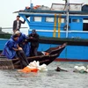 Chìm tàu đánh cá tại Thanh Hóa, 8 ngư dân được cứu thoát
