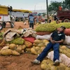 Quốc hội Cuba tìm hiểu nguyên nhân kinh tế phát triển chậm