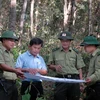 Ninh Thuận thành lập 3 tổ kiểm tra lưu động để bảo vệ rừng
