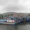 Thừa Thiên-Huế thiếu trầm trọng nơi neo tàu tránh trú bão