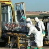 WHO cho phép sử dụng thuốc ZMapp cho bệnh nhân Ebola