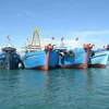 Xử phạt 8 tàu giã cào tàn phá môi trường ven bờ biển Quảng Nam