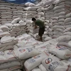 Phillipines bác toàn bộ hồ sơ dự thầu nhập khẩu 500.000 tấn gạo