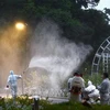 Nhật Bản: Xuất hiện bệnh sốt xuất huyết ở thủ đô Tokyo