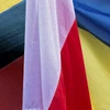 Ba Lan, Litva và Ukraine thành lập đơn vị gìn giữ hòa bình chung