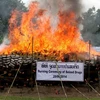 Mỹ viện trợ 1 triệu USD giúp Lào thay thế cây thuốc phiện