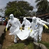 Bác sỹ Liberia đình công đẩy dịch Ebola có nguy cơ lây lan nhanh