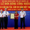 Ba cây đa tía tại Yên Bái được công nhận cây Di sản Việt Nam