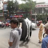 Hai ôtô đâm nhau giữa đường phố sầm uất nhất thành phố Vinh
