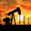 Kuwait hy vọng OPEC sẽ “hành động” nhằm hỗ trợ giá dầu
