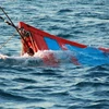 Cứu 9 thuyền viên trên tàu cá bị chìm tại vùng biển Malaysia