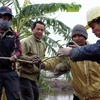 Nâng cao cảnh giác ngăn ngừa dịch hạch xâm nhập vào Việt Nam