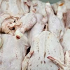 70% thịt gà tại các siêu thị của Anh bị nhiễm khuẩn gây tiêu chảy